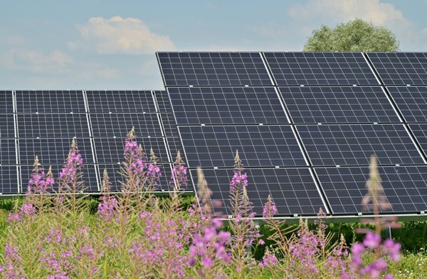 energia solar placa